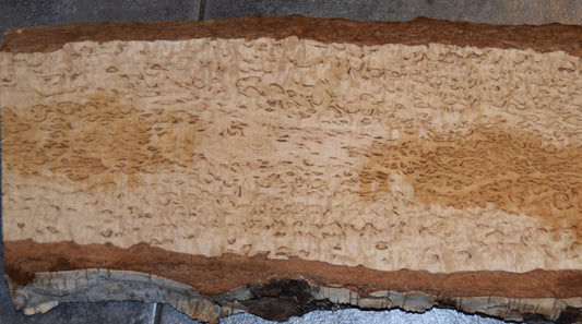 What is Curly Birch?