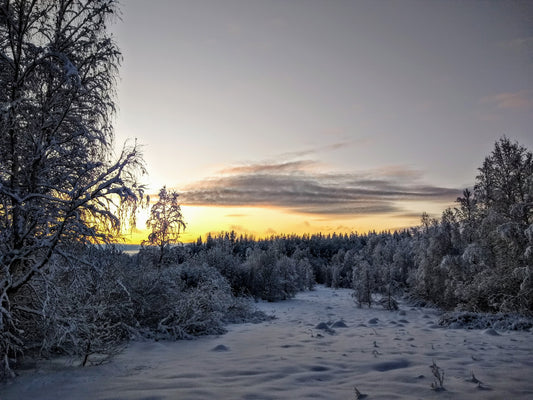 Our 2024 Pricing Commitment to YOU