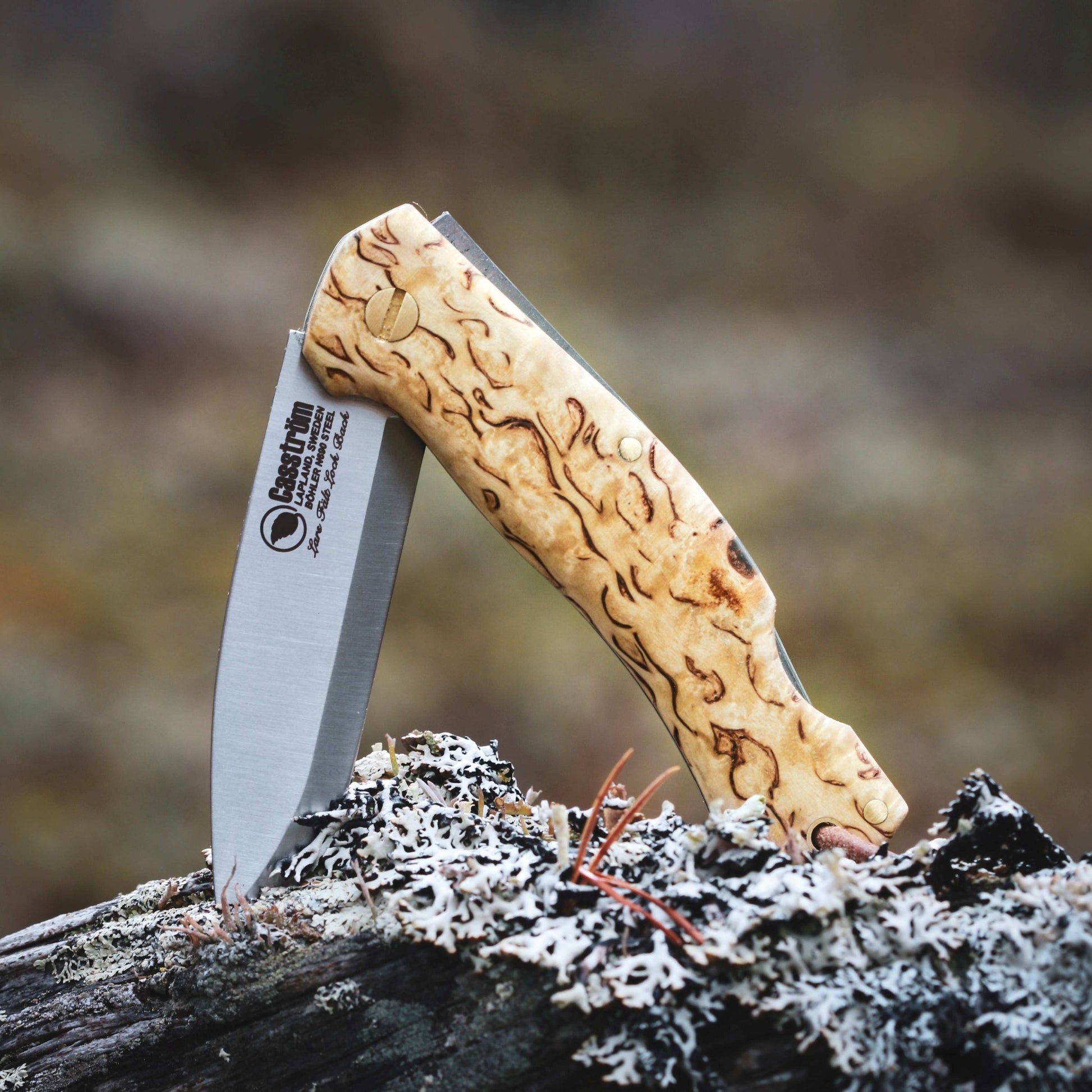Casström Lock back pocket knife, half open position, positioned on a mossy branch.