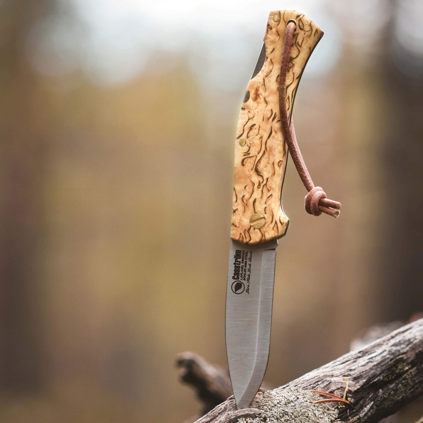 Casstrm Lars Fält Lock Back folding knife standing upright in a tree branch.