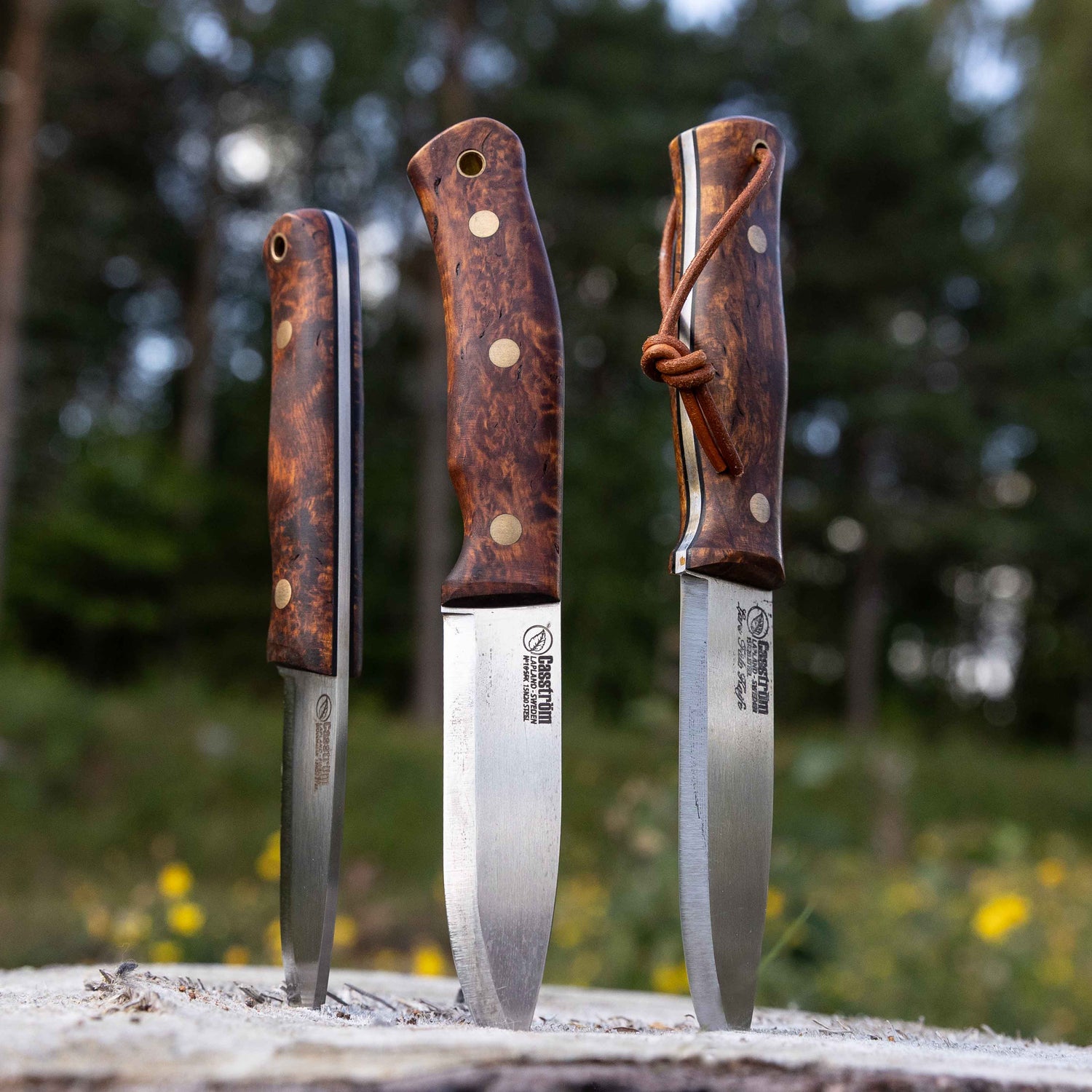 Casström Järv Series - with dark curly birch handle
