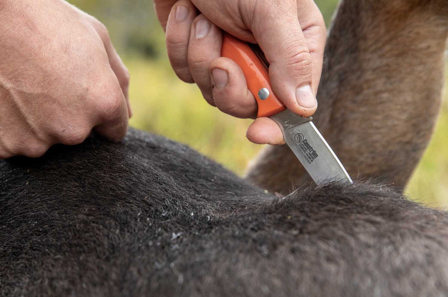 The Casström Swedish Field Dresser knife