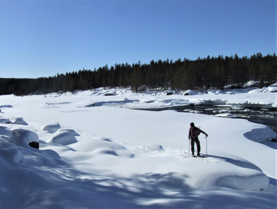Lapland's Extra Season...