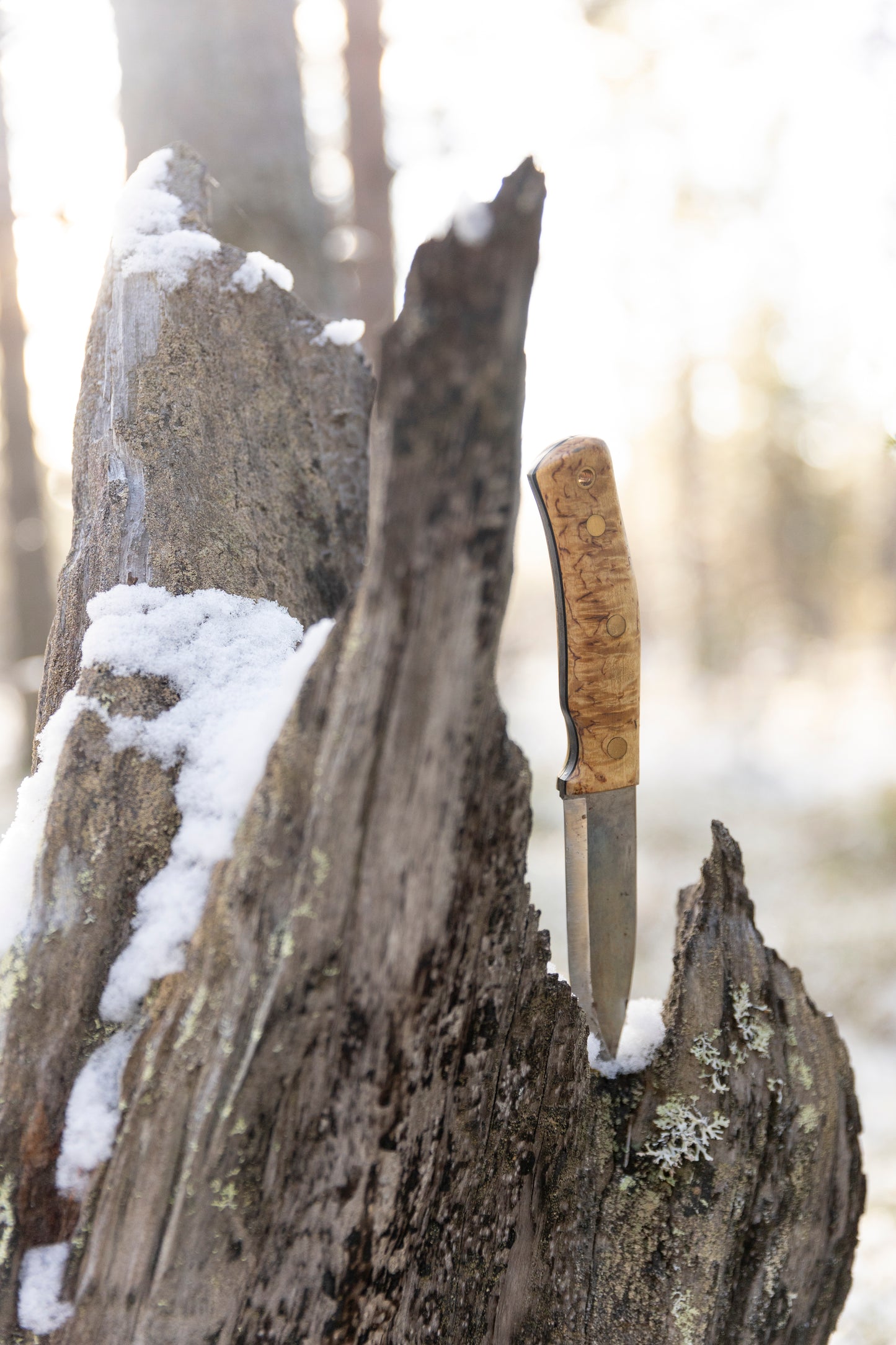 Casström No.10 survival knife with curly birch handle, in a wilderness setting