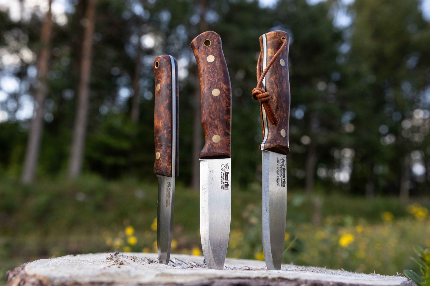 Casström Järv Series