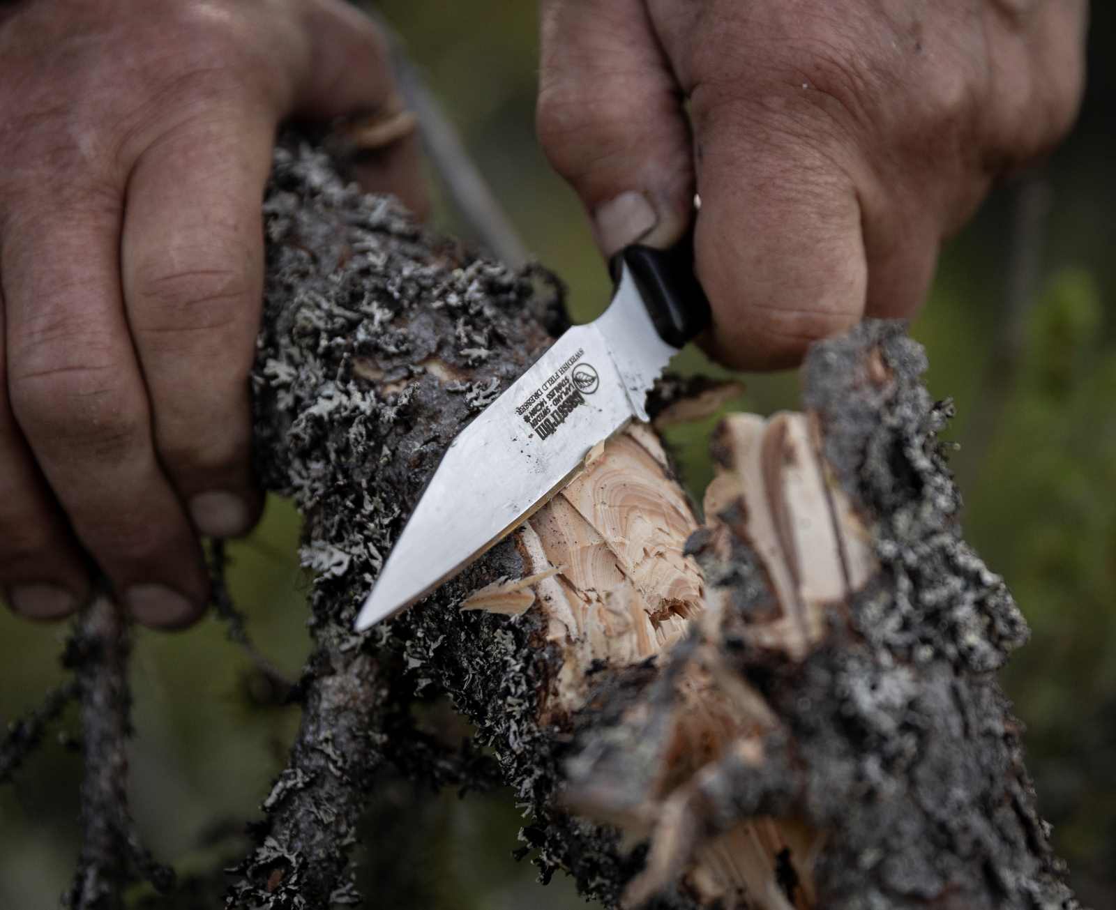 Casström Swedish Field Dresser knife carving wood