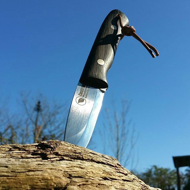 The Casstrom Woodsman knife outdoors - a top quality survival knife in the wilderness where it belongs!